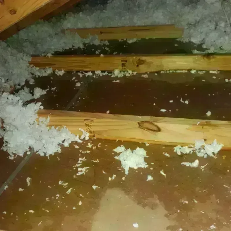 Attic Water Damage in Fayetteville, AR