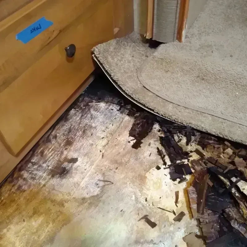 Best Wood Floor Water Damage Service in Fayetteville, AR